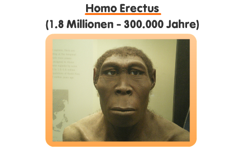 Homo Erectus by Tim Tam on Prezi