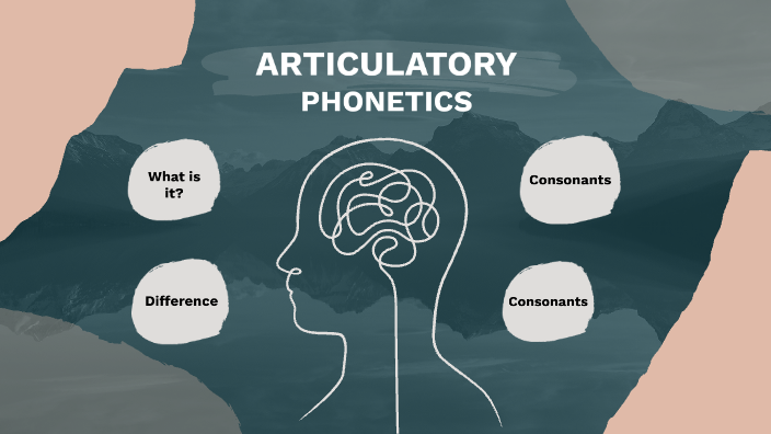 Articulatory Phonetics by Lucia Reser on Prezi