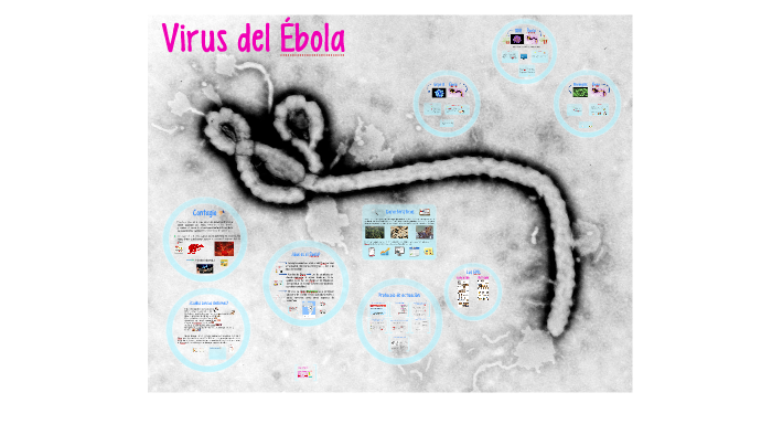 ¿Qué es el ébola? by Marta Delgado de Dios on Prezi