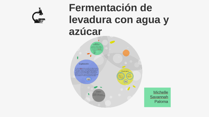 Fermentacion De Lavadura Con Agua Y Azucar By Michelle Felix