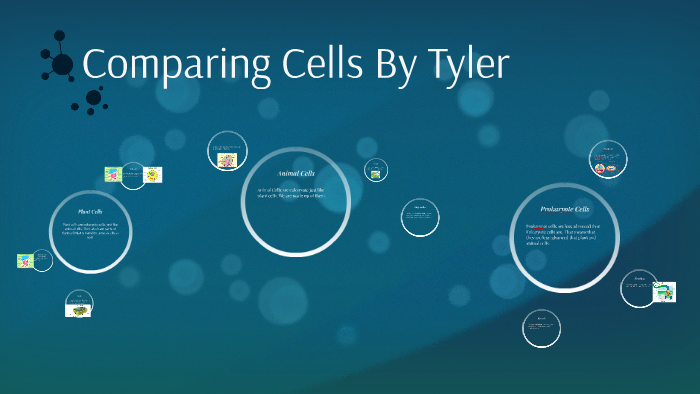Comparing Cells by Tyler Nguyen on Prezi