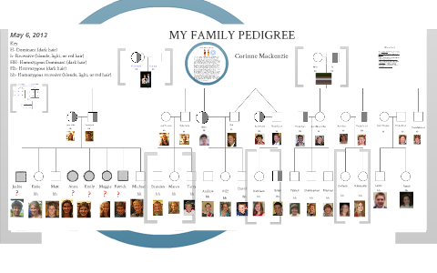 Family Pedigree Chart Corinne Mackenzie By Corinne Mackenzie On