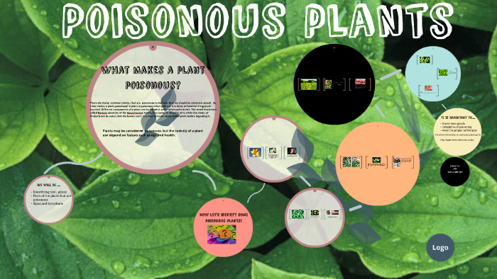 Poisonous Plants Presentation By Vanessa Flynn On Prezi