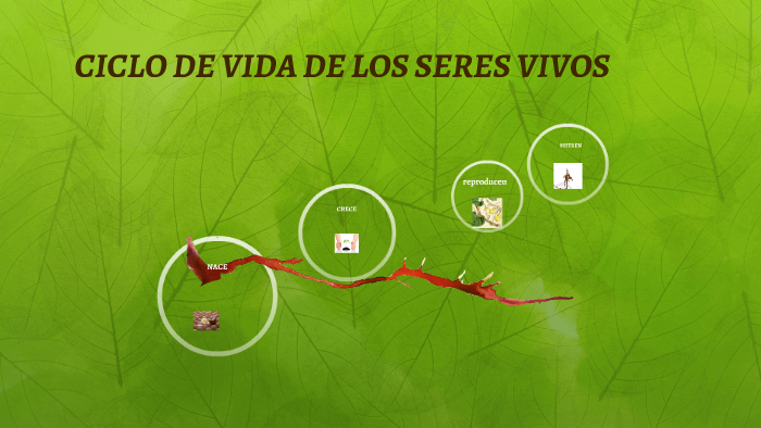 CICLO DE VIDA DE LOS SERES VIVOS by Blanca Yolanda Sanchez on Prezi