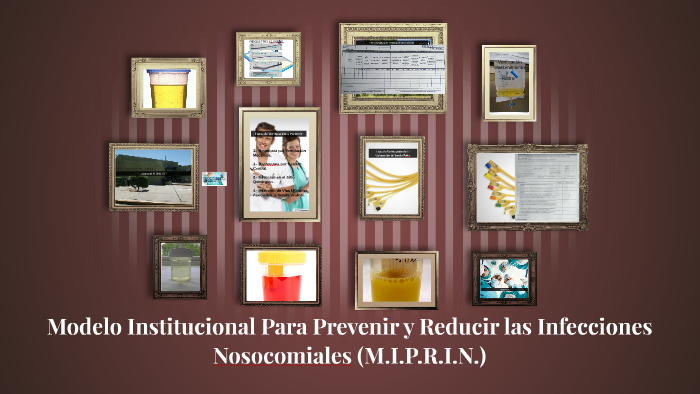 Modelo Institucional Para Prevenir y Reducir las Infecciones by joaquin  lopez