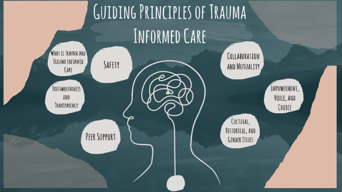 What is Trauma-Informed Care - University at Buffalo School of Social Work  - University at Buffalo