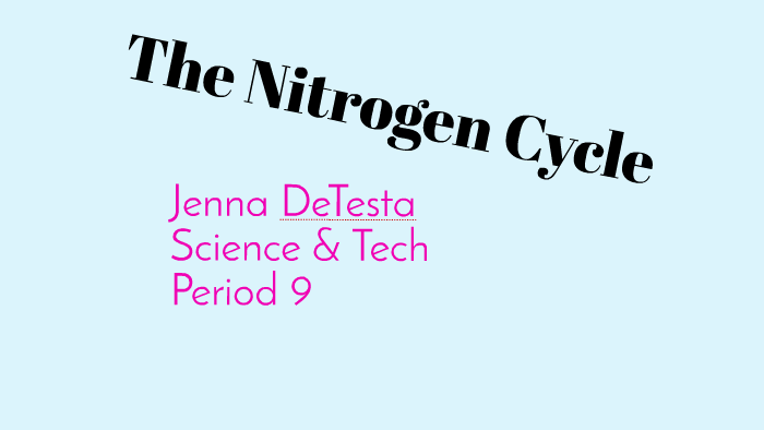 The Nitrogen Cycle by Jenna DeTesta on Prezi