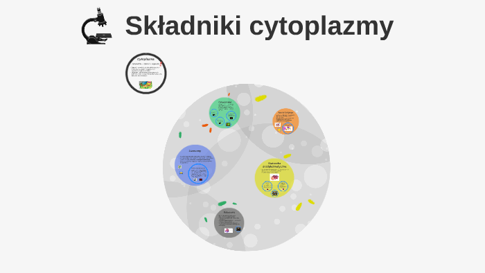 Wymień Składniki Cytoplazmy A Następnie Podaj Ich Funkcje