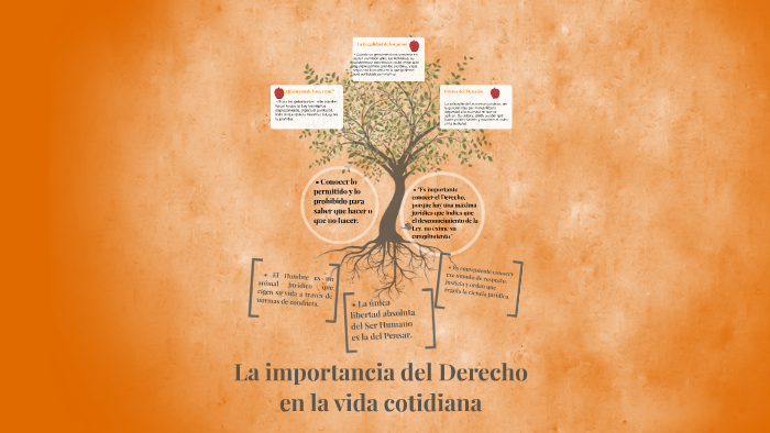 Importancia Del Derecho En Nuestra Vida Cotidiana