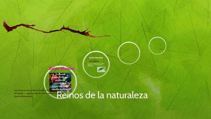 Reinos de la naturaleza by marina romero on Prezi