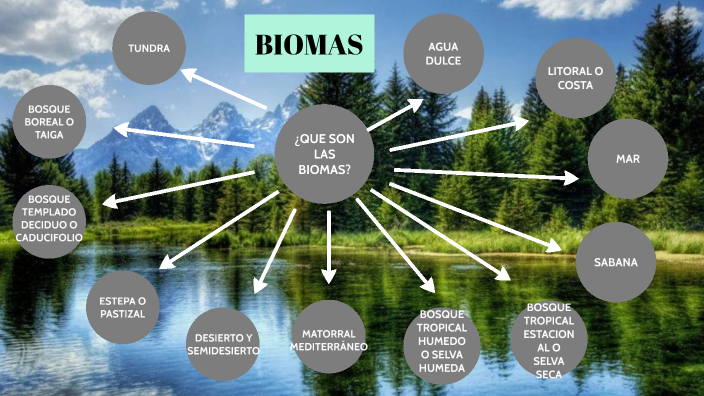 BIOMAS by Alondra Guadalupe Barcenas on Prezi