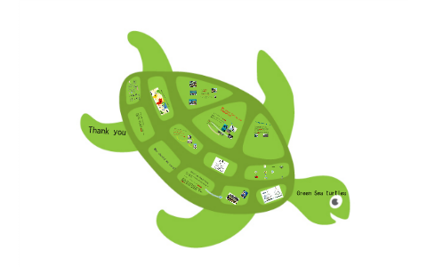 Green sea turtles by Remal Zahid on Prezi