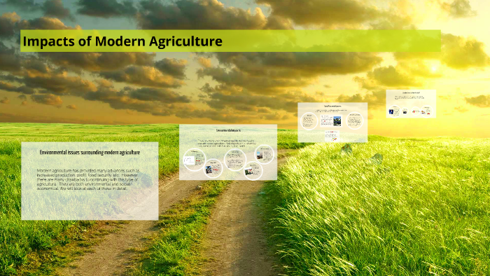 Impacts of Modern Agriculture by Linda Chamberlain