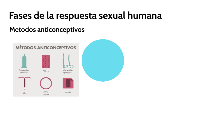 Fases De La Respuesta Sexual Humana By Naela Garnica On Prezi