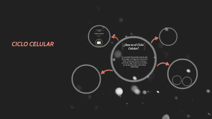 CICLO CELULAR by Andrea Mendoza on Prezi