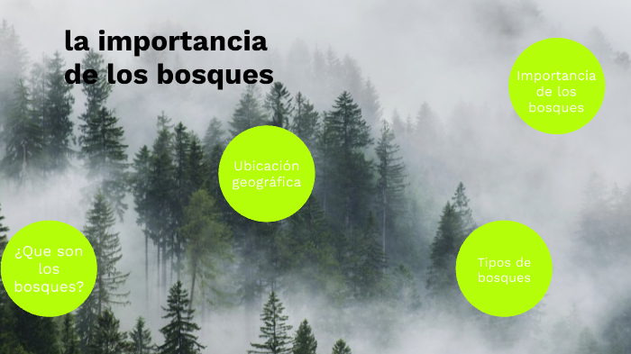 La Importancia De Los Bosques By Leti Guerrero On Prezi