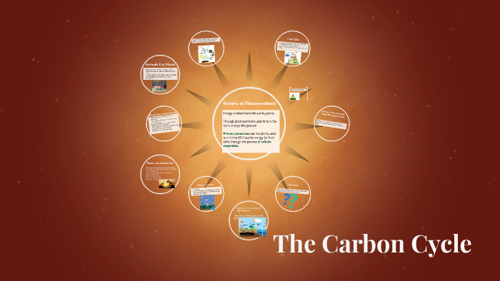 The Carbon Cycle by Megan McGrath on Prezi