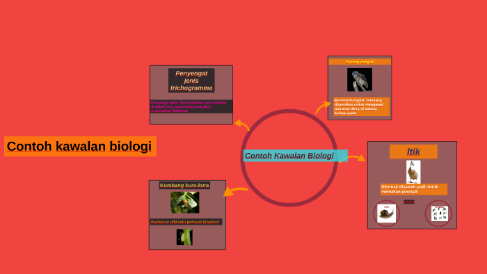 4 3 Kawalan Biologi Pdf