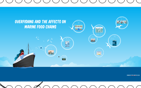 Overfishing and the affects on Marine food chains by Carly Kangas on Prezi Biology Diagrams