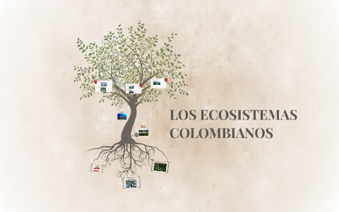 ECOSISTEMAS COLOMBIANOS by harold grisales on Prezi