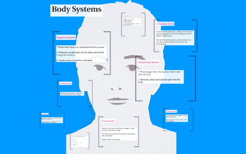 Body Systems by Johanna Jezowski on Prezi