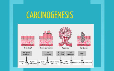 etapas de carcinogénesis