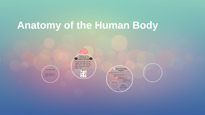 Anatomy of the Human Body by mia rizzi on Prezi