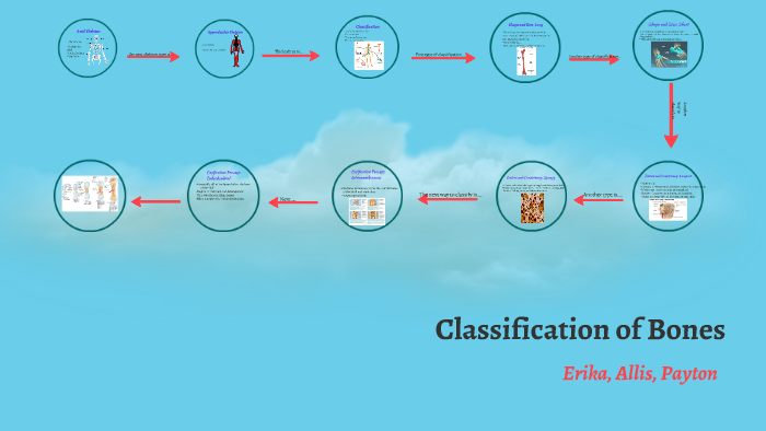 Classification of Bones by Allis Cornog on Prezi