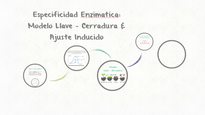 Especificidad Enzimatica: Modelo Llave - Cerradura & Ajuste by Diana  Ramirez
