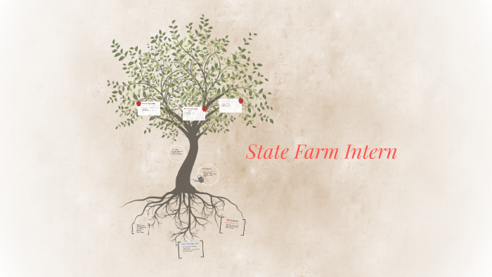 state-farm-intern-by-katherine-dye