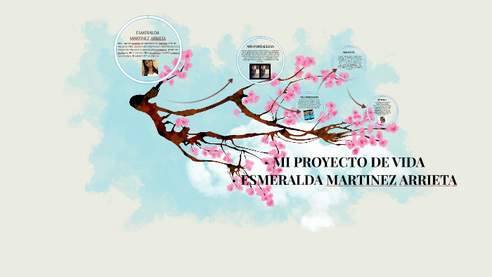MI PROYECTO DE VIDA by cristian alvarez on Prezi