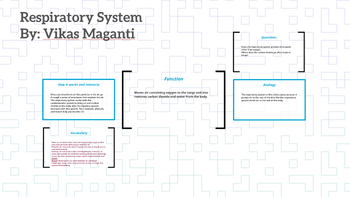 Respiratory System by on Prezi