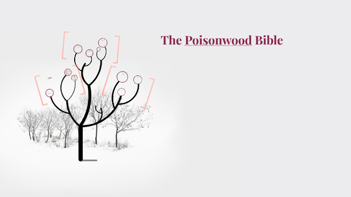 the-poisonwood-bible-14of52-youtube