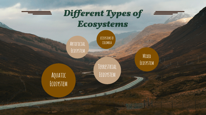 TYPES OF ECOSISTEMS by Angie Lizeth Rosero Quenguan on Prezi