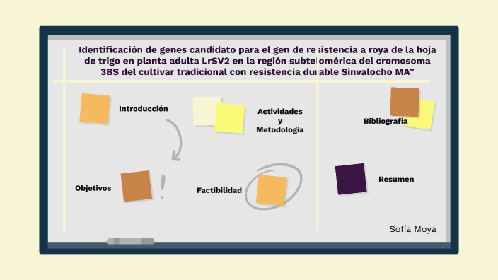 PLAN DE TESIS by Sofia MJ on Prezi