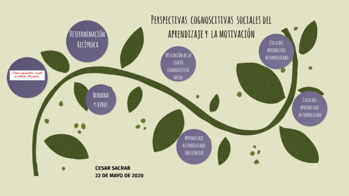 Perspectivas cognoscitivas sociales del aprendizaje y la motivación by ...
