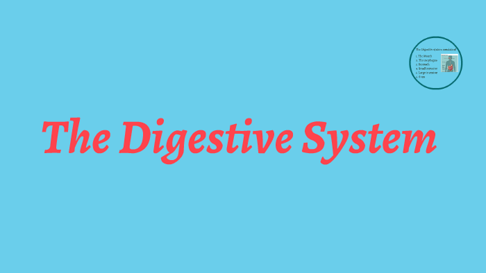Digestive System by Kelsey Matthias on Prezi