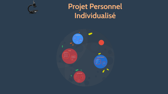 Projet Personnel Individualise By Julien Baudet