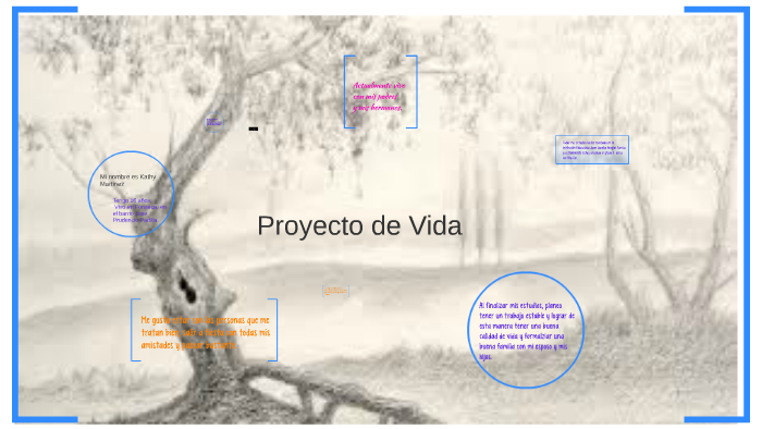 Proyecto de Vida by luis Ariño on Prezi