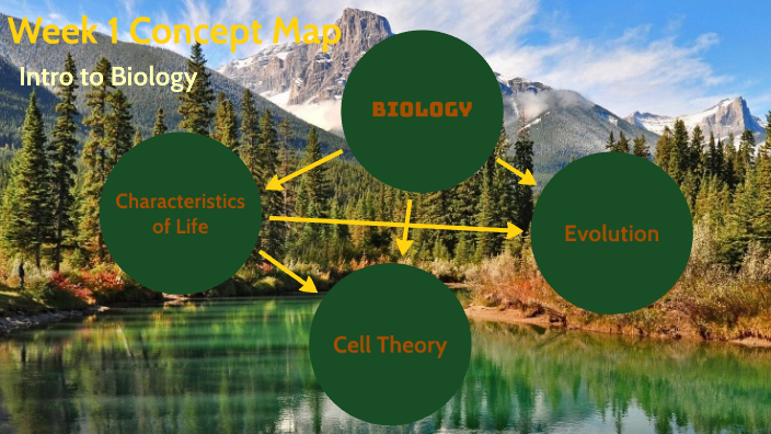 Week 1 Concept Map by Caleb Joos on Prezi