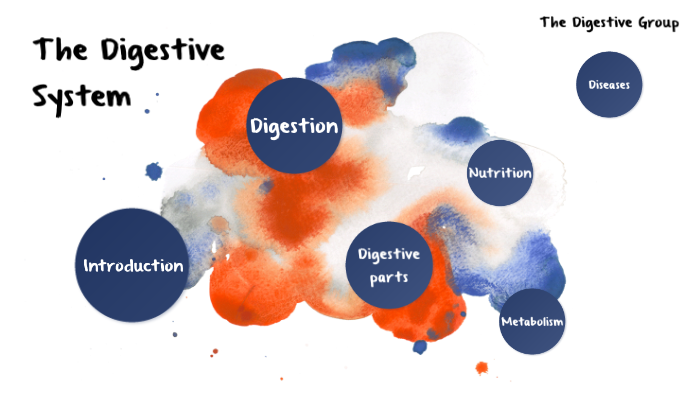 The Digestive System by raphael rodeadilla on Prezi