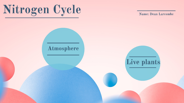 Nitrogen Cycle by Dean Larcombe on Prezi