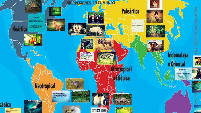 BIORREGIONES EN EL MUNDO by erika nogales on Prezi