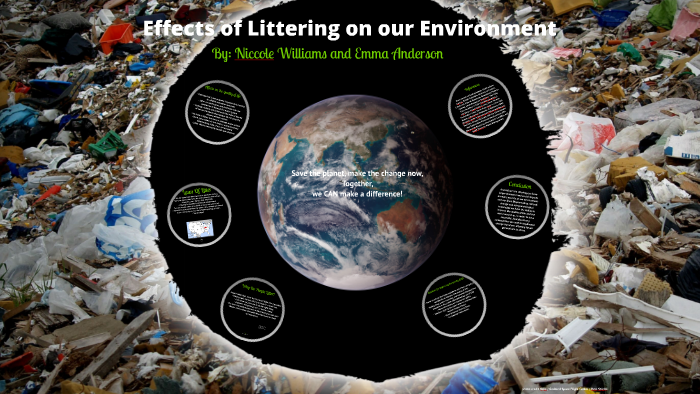 Impacts Of Litter On The Enviorment By Niccole Williams On Prezi