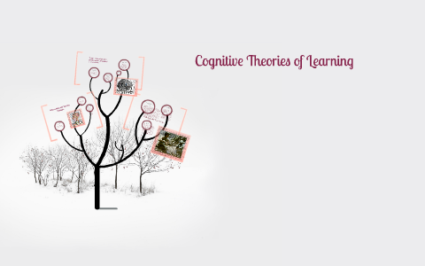 Cognitive Theories of Learning by Molly Hilterbrand on Prezi