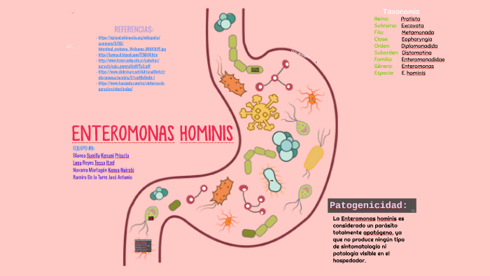 ENTEROMONAS HOMINIS by Kenani Boni on Prezi