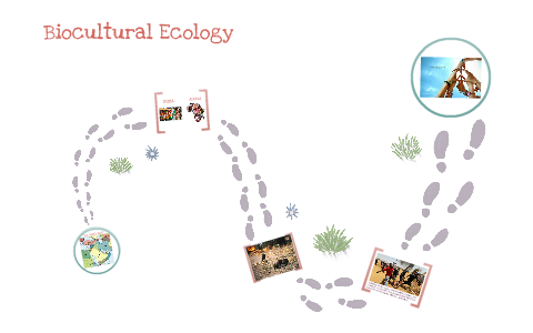 Biocultural Ecology By Pearl Abena On Prezi