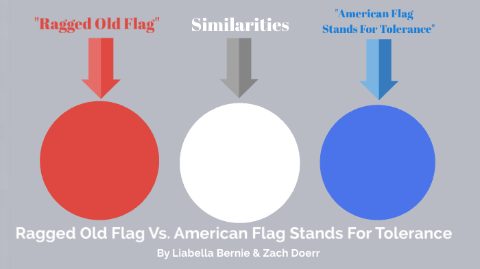 ragged-old-flag-vs-american-flag-stands-for-tolerance-by-liabella-bernie