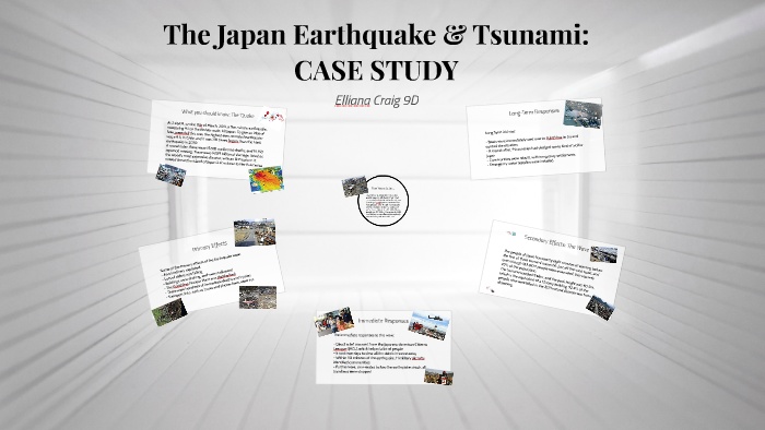 japan tsunami case study