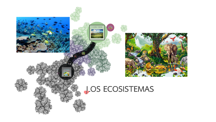 LOS ECOSISTEMAS by Juli Raia on Prezi